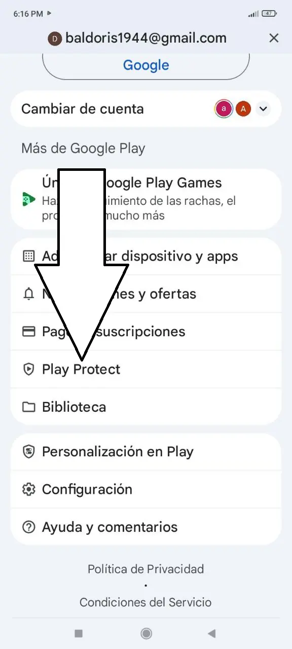 Paso 3: Ve a Play Protect