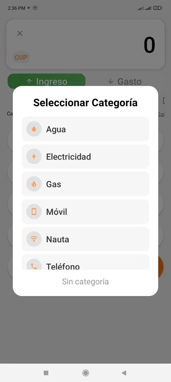 Opciones de categorías